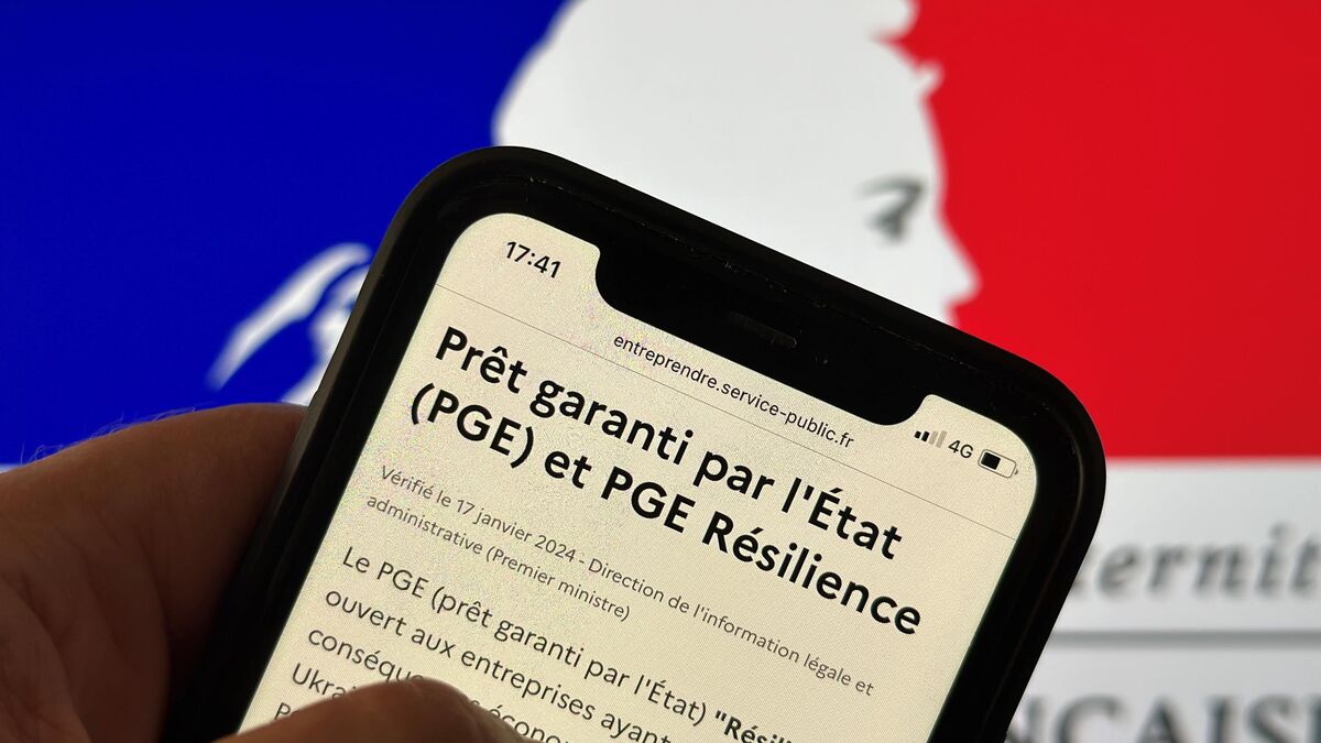 Prêt - Prêt Garanti Par L’État : Les Petites Entreprises Face À La Dette
