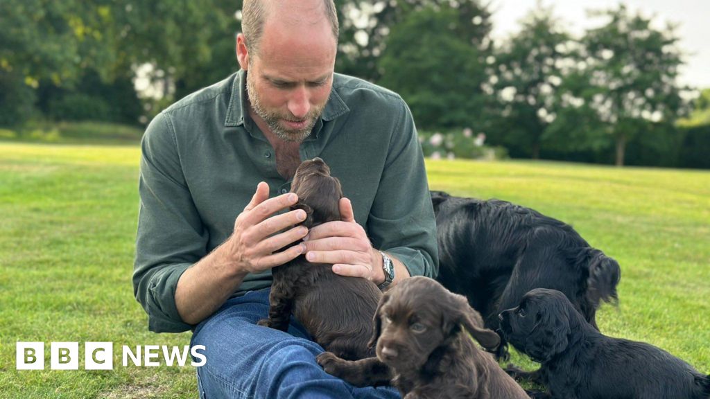 chiot - Le 43e anniversaire de William célébré avec une photo de chiot