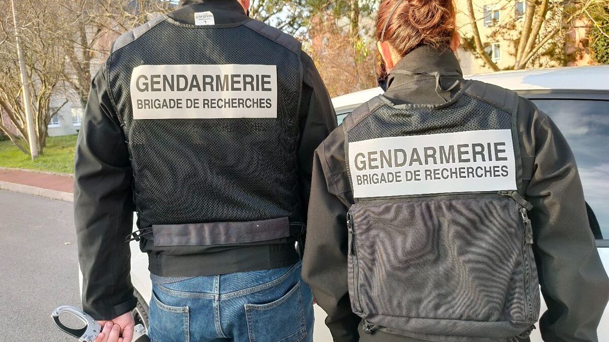 Bas-Rhin - « Une personne joviale et serviable » : un octogénaire tué dans le Bas-Rhin, son petit-fils interpellé