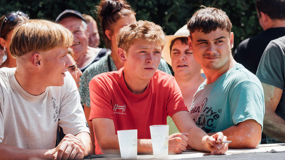Dragons - Programme TV du mardi 17 juin : « Vingt Dieux », « À Qui Profite Le Doute ? », « Dragons 2 »… Découvrez notre sélection !