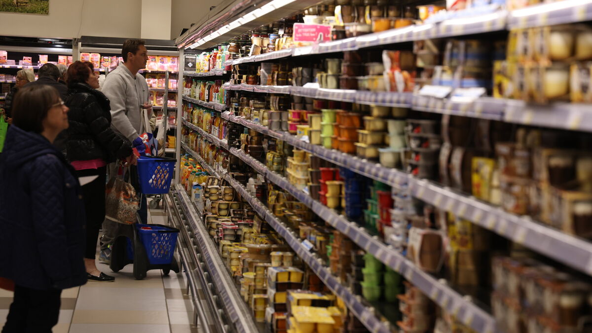Chômage - L'Insee Anticipe Une Croissance Ralentie à 0,6 % En 2025, Avec Un Taux De Chômage Qui Devrait Atteindre 7,7 %
