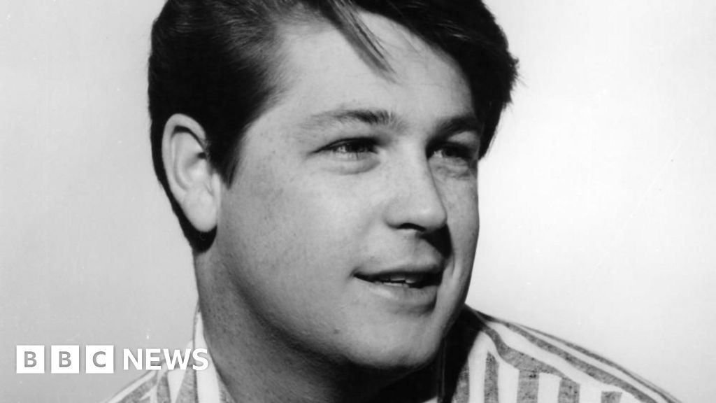 Beach - Brian Wilson : Images Iconiques de la Vie d'un Beach Boy