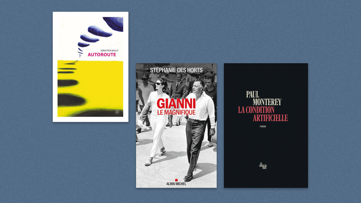 Livres - Sébastien Bailly, Stéphanie Des Horts, Paul Monterey… Découvrez Notre Sélection de Livres de la Semaine