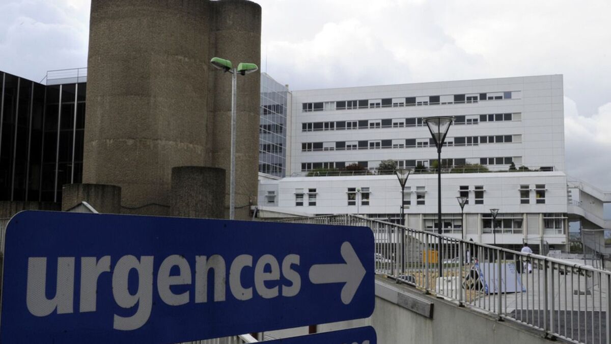 nourrisson - Un nourrisson devient handicapé suite à une erreur médicale, le CHU de Rennes condamné à verser plus de 2,5 millions d'euros.