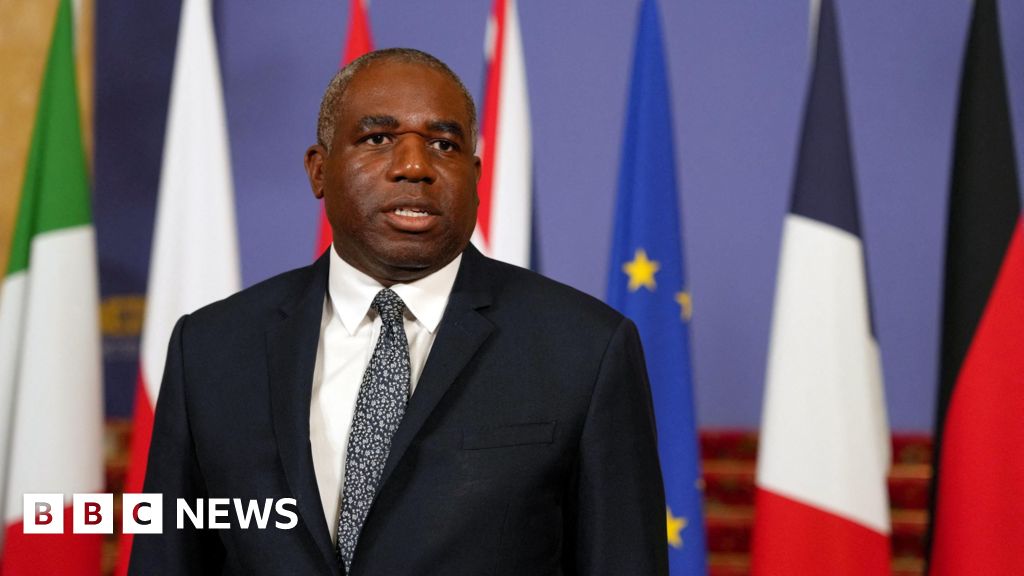 affréter - Le Royaume-Uni se prépare à affréter des vols depuis Israël, affirme Lammy