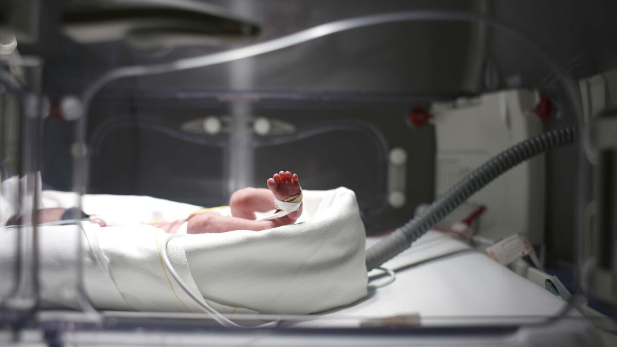 greffe - « Une Petite Sirène » : Eliana, une bébé prématurée, guérie d’une blessure grâce à une greffe de peau de poisson