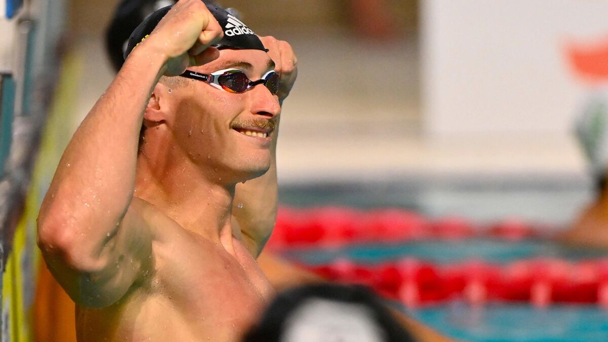 acteurs - « Tous les acteurs souhaitent aller vite » : La natation française aura son DTN avant les Mondiaux