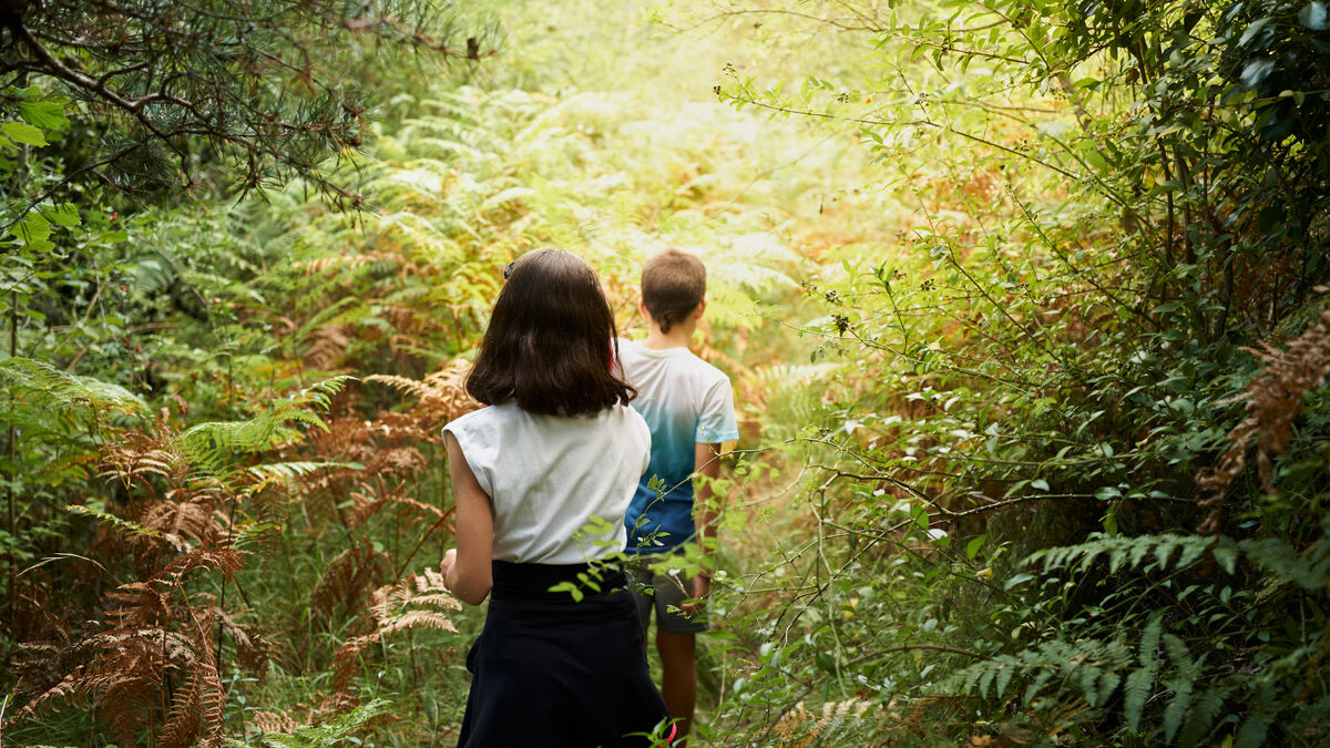 inceste - Et si l'inceste entre cousins était enfin puni par la loi ?