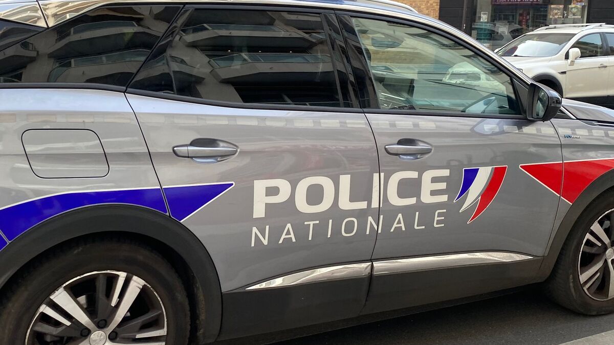 Gagny - Deux Femmes Blessées par Coups de Hache à Gagny : Un Ex-conjoint Interpellé
