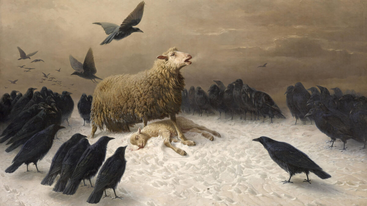 peintre - « Il leur insufflait des sentiments » : August Schenck, le peintre animalier oublié qui humanisait les moutons