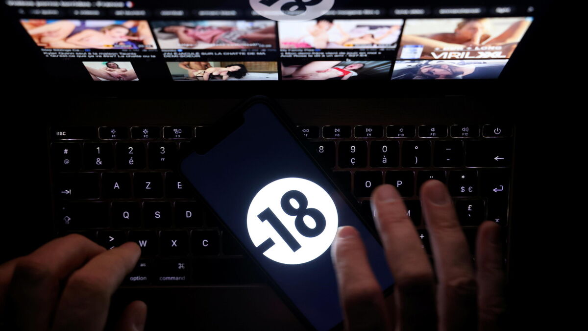 pornographiques - Sites pornographiques : L'État conteste la suspension de l'arrêté sur la vérification de l'âge