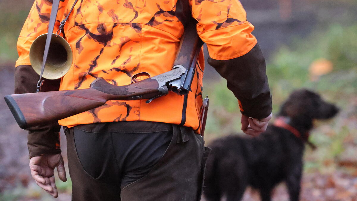 Chasse - Procès des Chiens de Chasse Tués en Ardèche : Prison avec Sursis pour le Tireur, Amende pour les Chasseurs