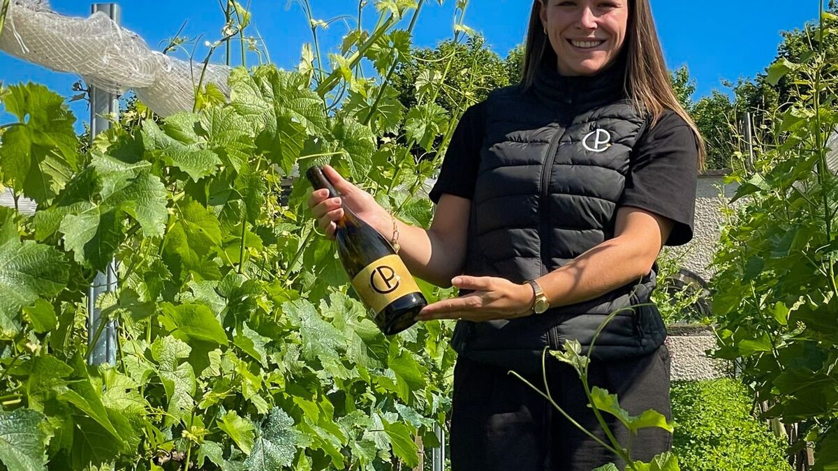Vin - Un Vin De Paradis En Haute-Loire : « Le Réchauffement Climatique Permet Ce Qui Était Impossible »