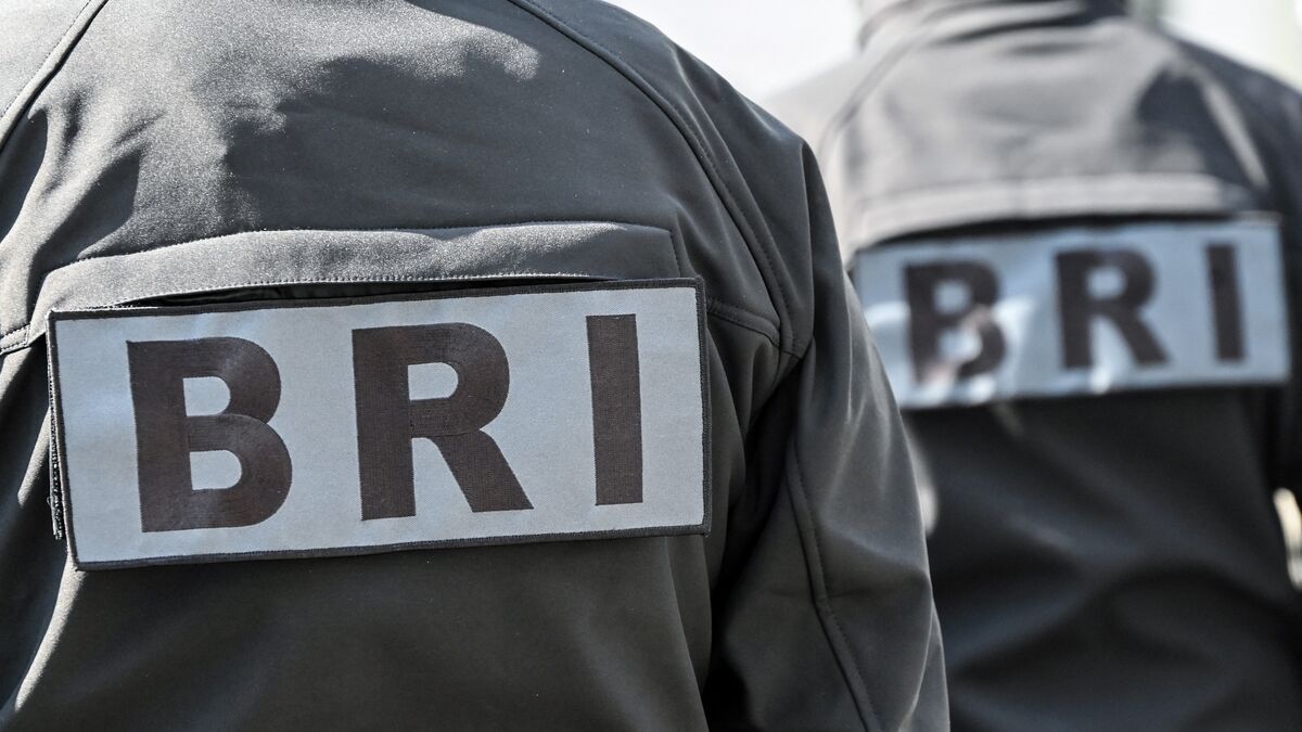 automobiliste - Nantes : Un simple coup de klaxon a failli coûter la vie à un automobiliste de 60 ans