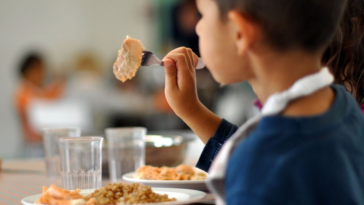 Syndrome - Intoxications Alimentaires D’enfants Dans L’Aisne : Qu'est-ce Que Le Syndrome Shu Et Quels Sont Les Symptômes À Surveiller ?