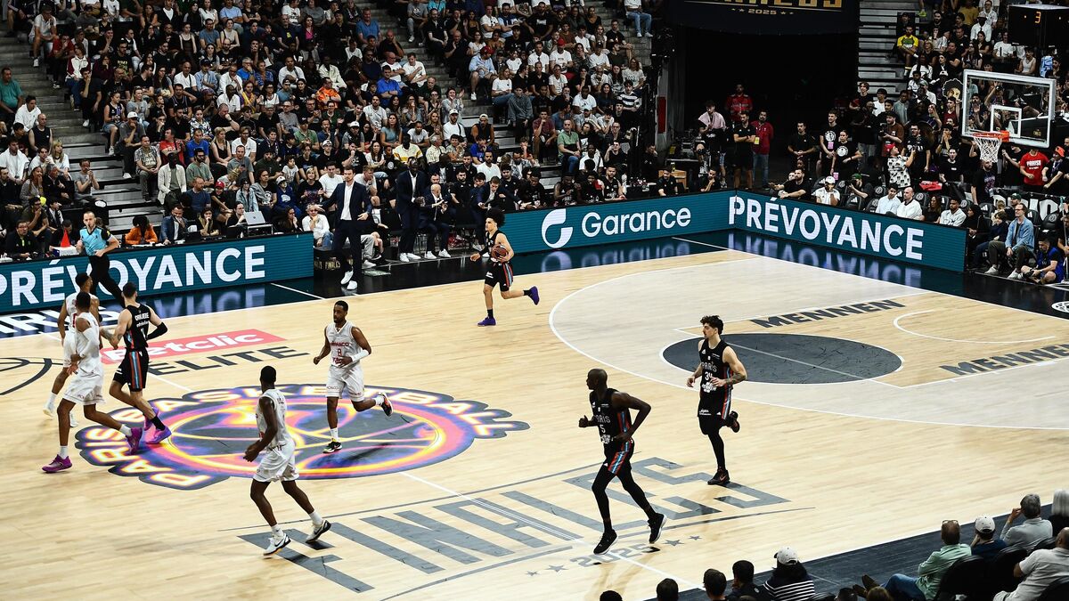 Championnat - « Rendre Plus Attractif Nos Championnats » : Pourquoi la Ligue de Basket Modifie Encore sa Signature Visuelle ?