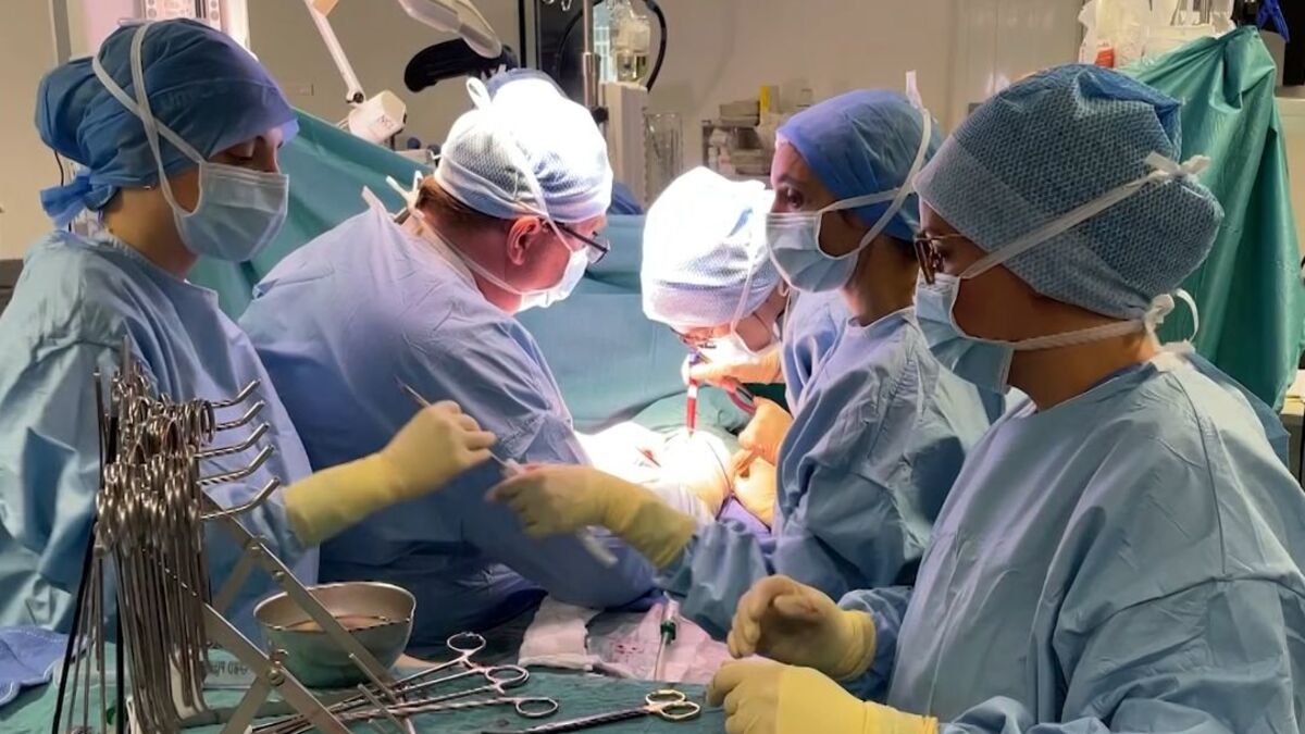 Bobigny - 50e greffe de trachée à Bobigny : la prouesse médicale du professeur D'Avicenne s'exporte