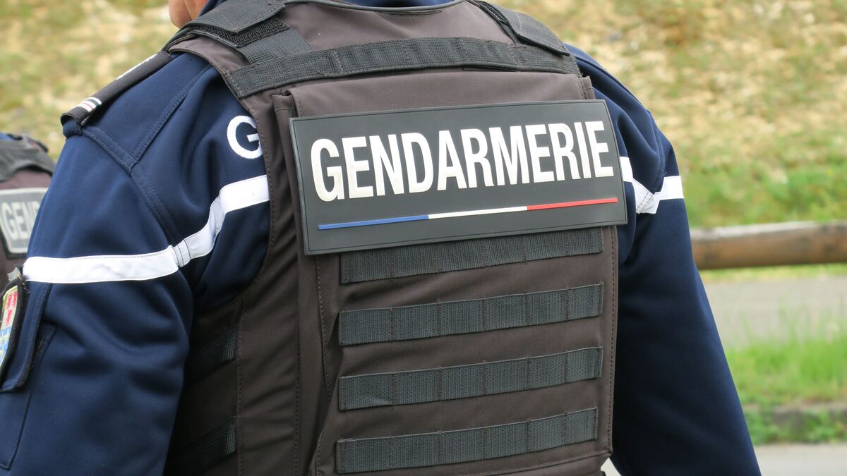 Femme - « Une Mort Violente » : Le Corps d'une Femme de 38 ans Retrouvé, Un Homme de 77 ans en Cours de Recherche Active
