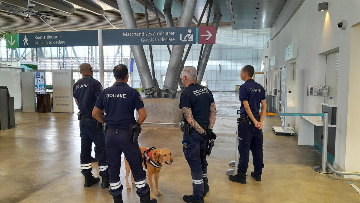 cocaïne - La Réunion : Une « mule » interpellée à l'aéroport avec 2,5 kg de cocaïne dissimulés dans ses parties intimes