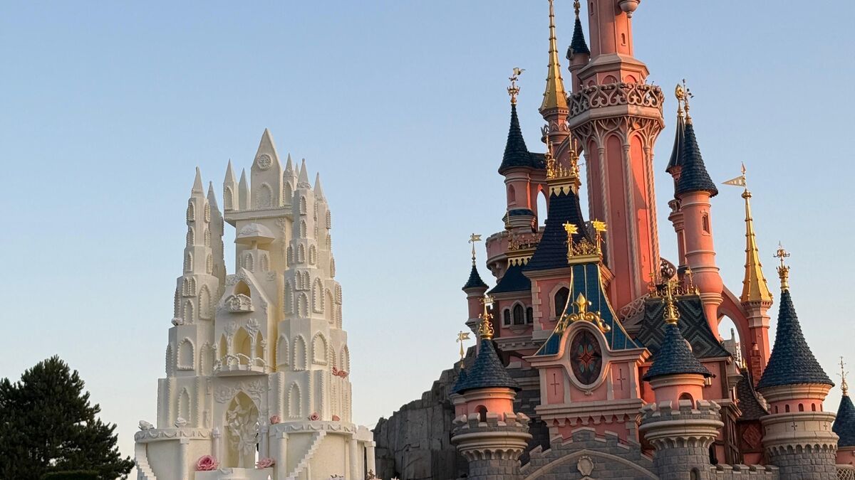 Mariage - « La Petite A 9 Ans, On Arrête Tout ! » : Une Figurante Dévoile Les Secrets Du Faux Mariage à Disney