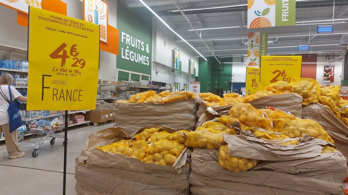 Discounteur - « Pourquoi le Démarrage Poussif d'atacadaõ, le Discounteur de Carrefour, Ne Fait Pas Trop Attendre en Caisse »