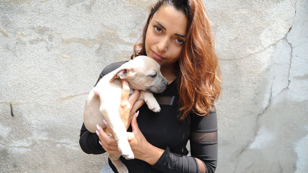 chien - « J'ai été traitée comme une délinquante… » Elle sauve un chien de la mort et est condamnée pour le vol de l'animal.