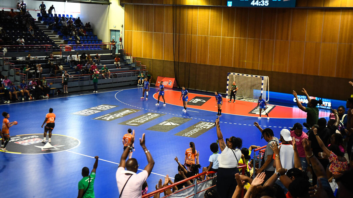 Créteil - Individus Masqués, Fumigènes, « ambiance détestable »… À Créteil, la finale de Nationale 1 de handball interrompue