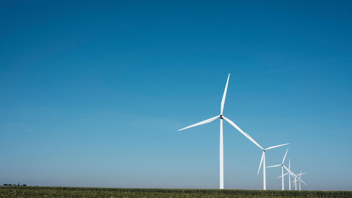Investissement - Faux Investissement, Vraie Escroquerie : Le Roi des Énergies Vertes Vendait du Vent