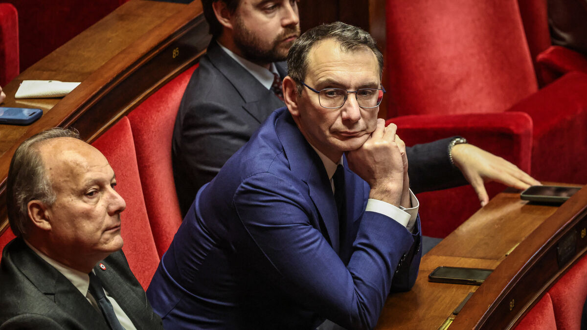 racaille - Au procès du député RN Jacobelli pour outrage et injure, débat sur l'étymologie du mot « racaille »