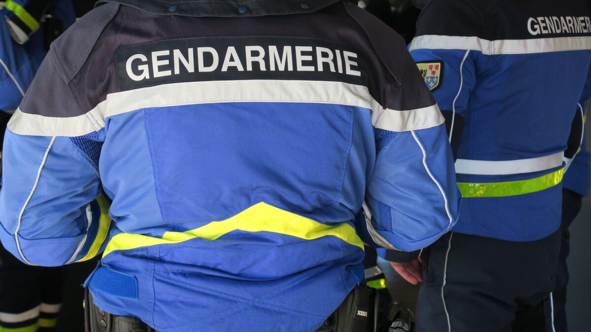 rodéo - Gendarme percuté et blessé lors d'un rodéo près de Nancy : le tribunal autorise de nouvelles investigations