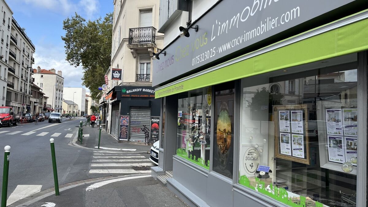 Maire - Municipales à Malakoff : Quelles Sont Les Promesses De Campagne De La Maire Sortante ?