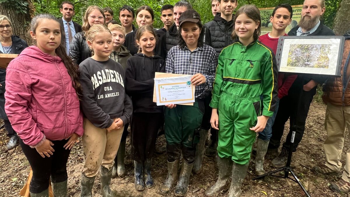 collège - « Pythagore Est Partout » : Ervy-le-Châtel, le premier collège en France à disposer de sa propre forêt pour des cours en plein air !