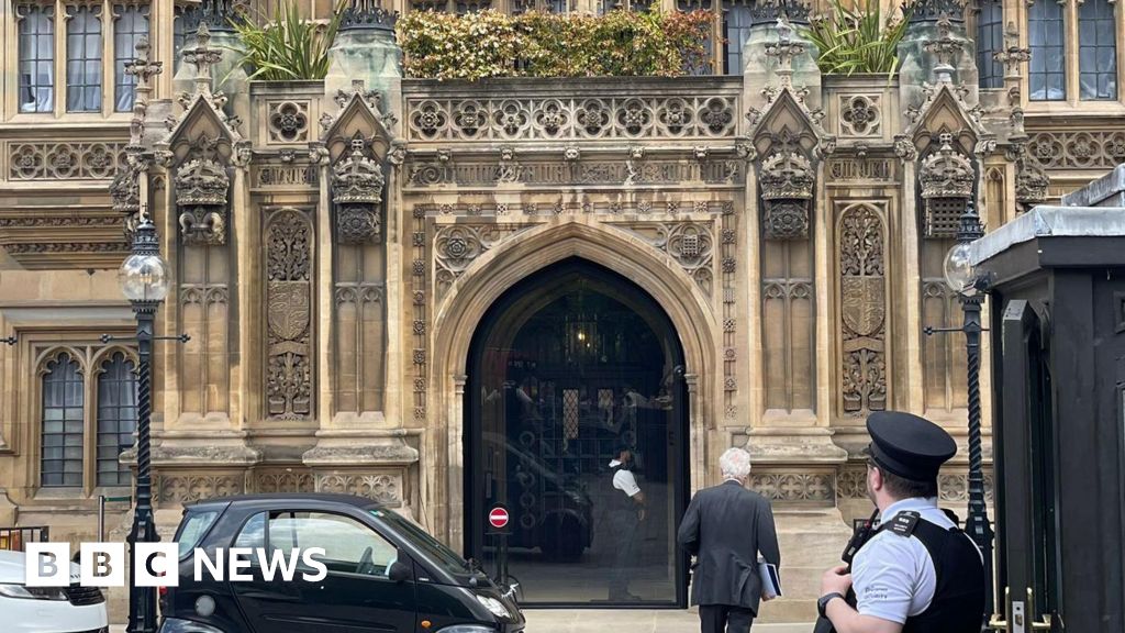 porte - Des critiques émergent concernant la porte d'entrée à 9,6 millions de £ de la Chambre des Lords