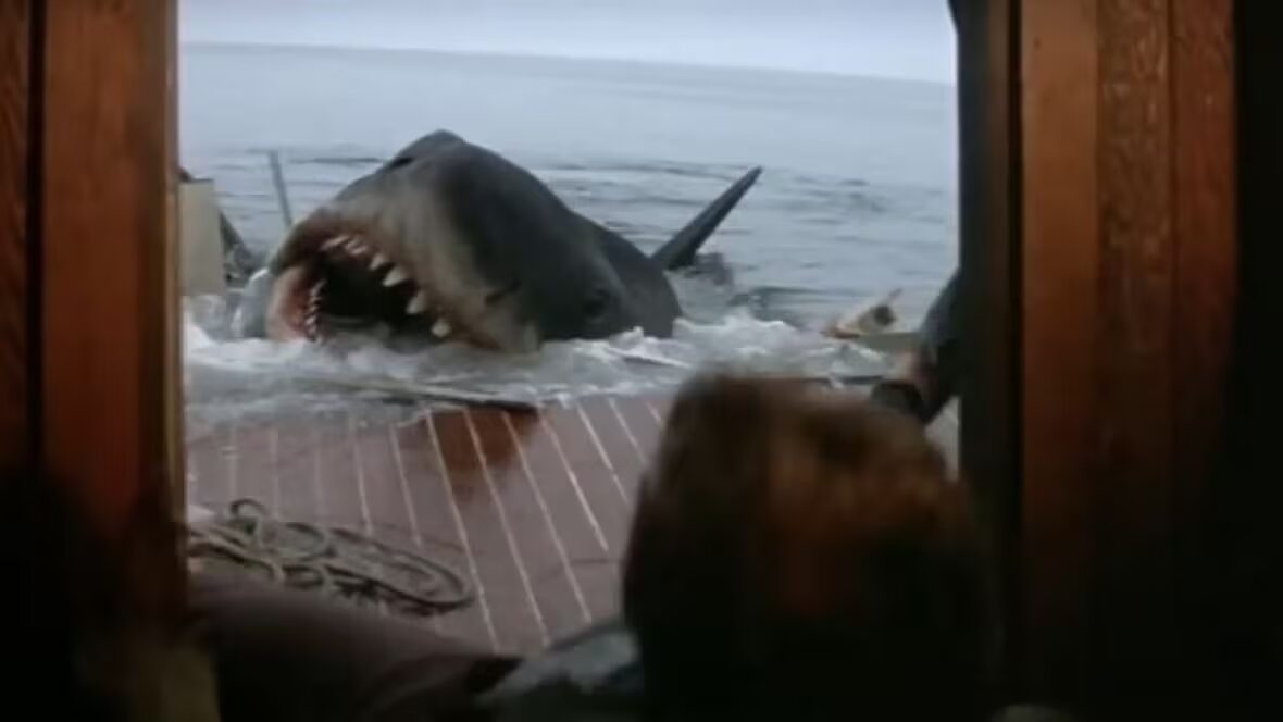 requins - Les Dents de la mer ont attaqué il y a 50 ans, transformant notre regard sur les films et les requins.
