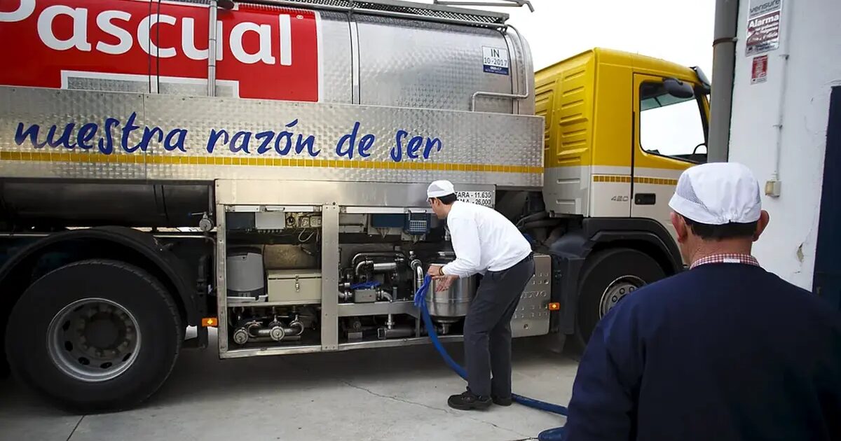 Chiffre - Pascual Cierra 2024 Avec 900 Millions D'Euros De Chiffre D'Affaires Et Une Croissance De 27 % De L'Ebitda Malgré Le Contexte Mondial