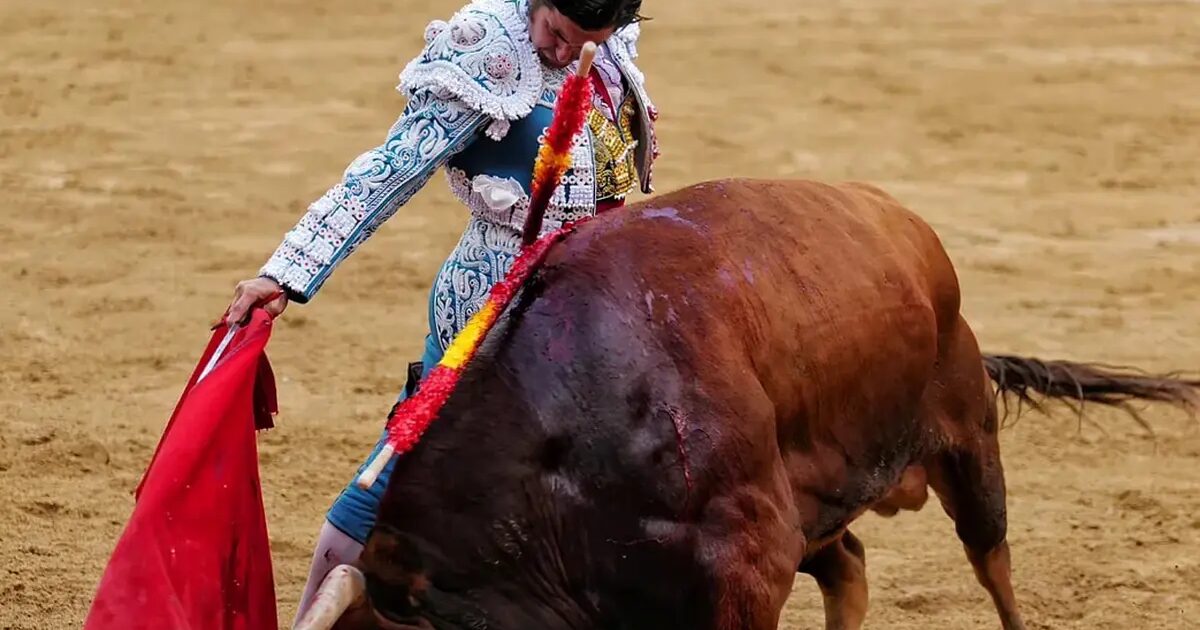 Abonnés - La Plaza Où Morante Et Roca Rey S'affronteront : Le Puerto De Santa María Augmente de 50 % Ses Abonnés Par Rapport à 2024