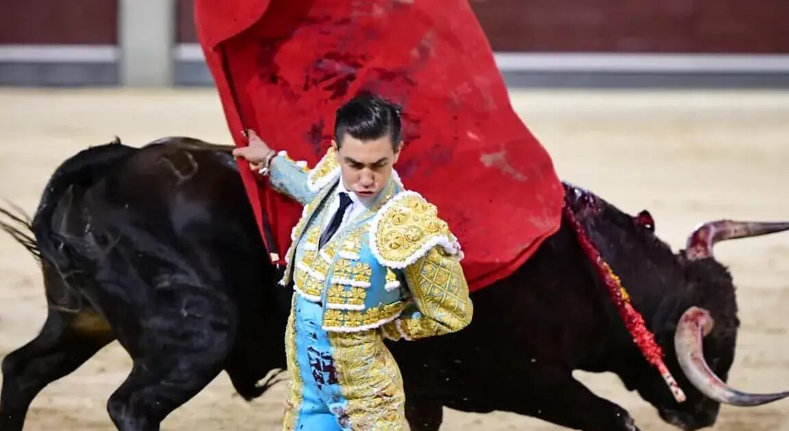 Ventes - Bruno Aloi, le Mexicain, triomphe lors d'une finale des ventes transformée en encerrona : Plaza 1 dévoile la terna pour l'automne.