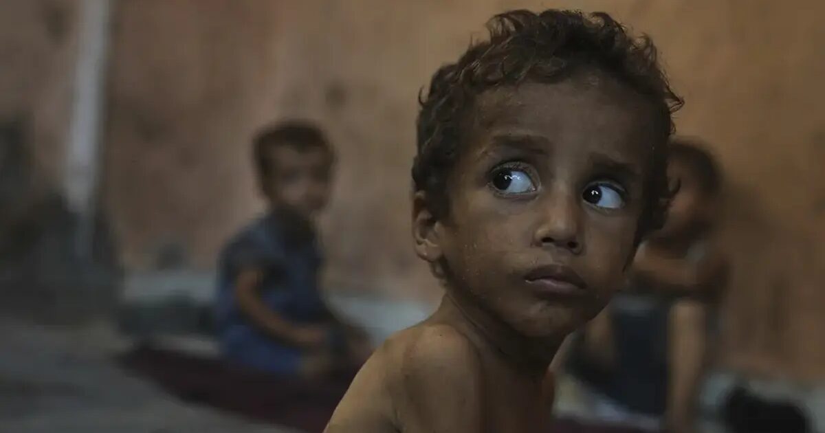pain - La famine provoquée par le blocus israélien condamne Gaza à une nouvelle course contre la montre pour sauver des vies : "Le désir de ma vie est de pouvoir donner du pain à mes enfants."