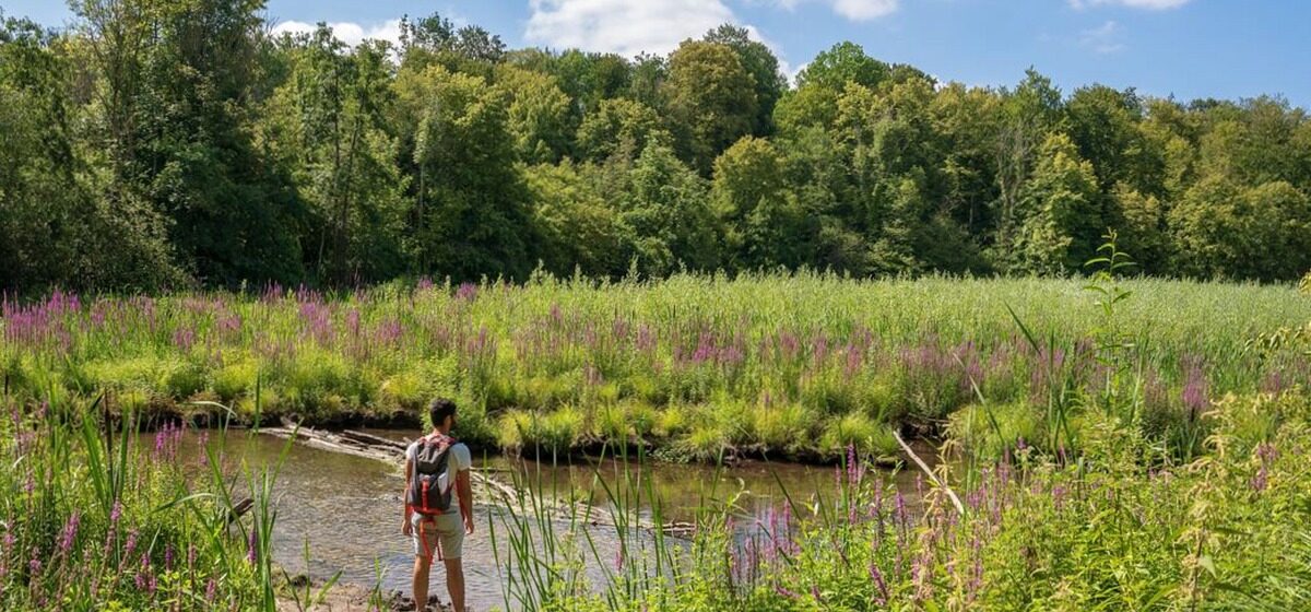 randonneurs - Un couple de randonneurs tué dans un parc américain : leurs deux filles retrouvées saines et sauves