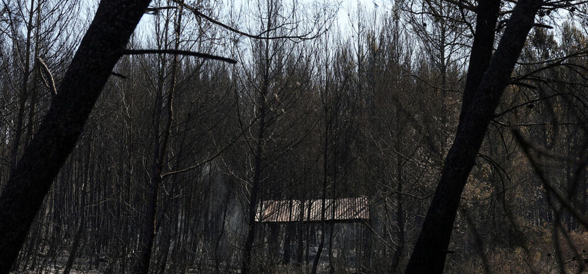 incendie - Martigues : L'incendie qui a ravagé près de 250 hectares est désormais maîtrisé