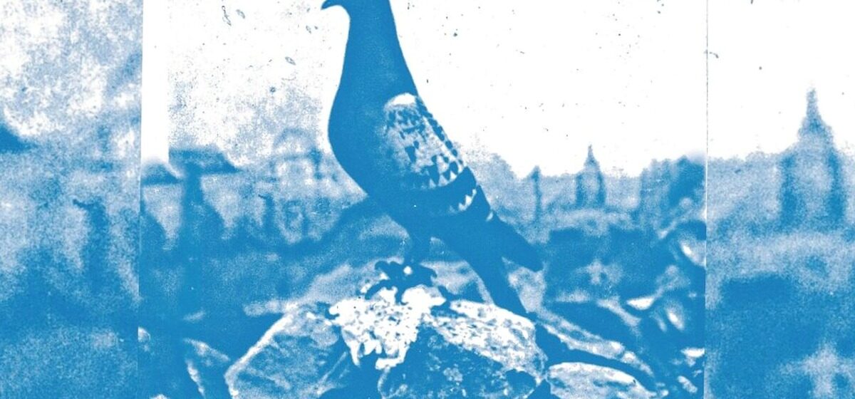 pigeon - En juin 1916, comment Vaillant, le pigeon héros de Verdun, a-t-il traversé la zone de front pour porter un message de secours ?