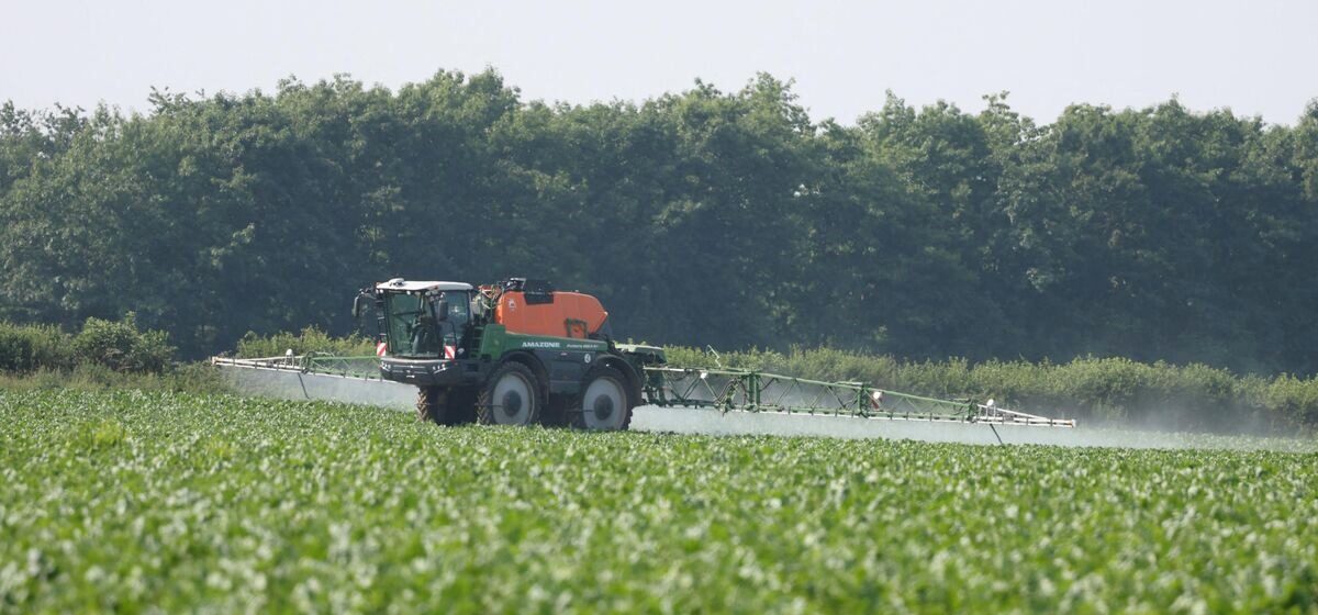 Acétamipride - Loi Duplomb : Cancer, Troubles Cognitifs… La Vérité Sur L’acétamipride, L’insecticide Au Cœur Des Débats