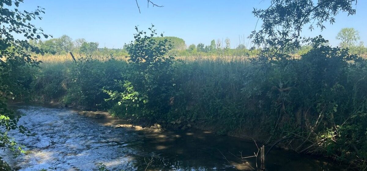 biodiversité - Aube : Les Prairies Humides de Davrey, un atout essentiel dans la lutte contre le dérèglement climatique et pour la préservation de la biodiversité