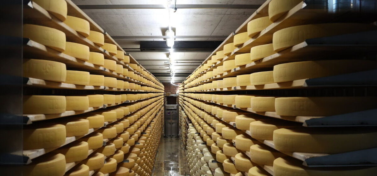 Fromages - 200 Tonnes De Fromages De Savoie Retenues Après La Découverte De Cas De Dermatose Nodulaire Contagieuse