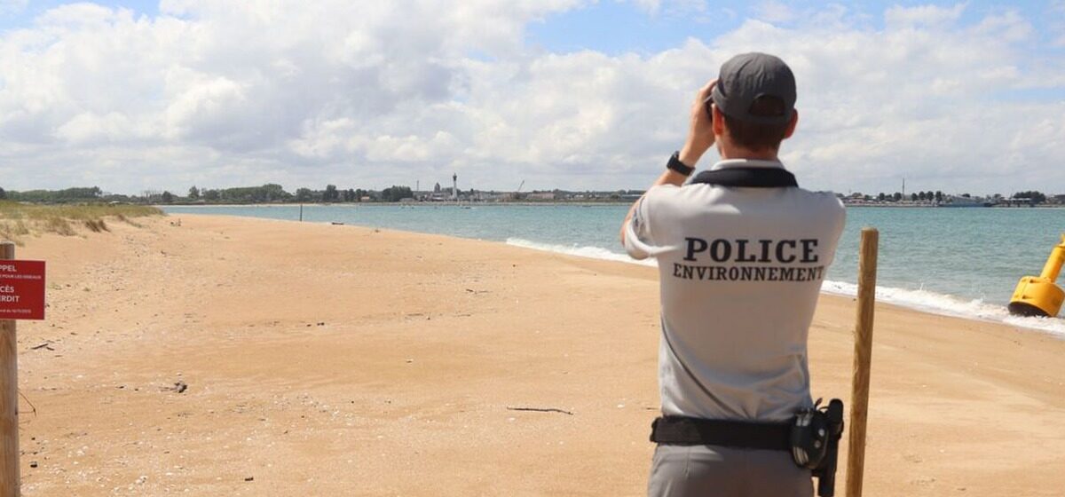 Oiseaux - « On Voit Quelques Abus » : Le Banc des Oiseaux, près de Ouistreham, un sanctuaire menacé par l'intrusion humaine