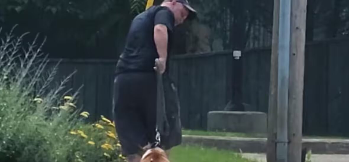 chien - Un chien traîné dans la rue a été « abandonné à chaque étape », affirme le groupe de sauvetage après qu'un propriétaire de Hamilton ait été condamné à une amende de 2 000 $