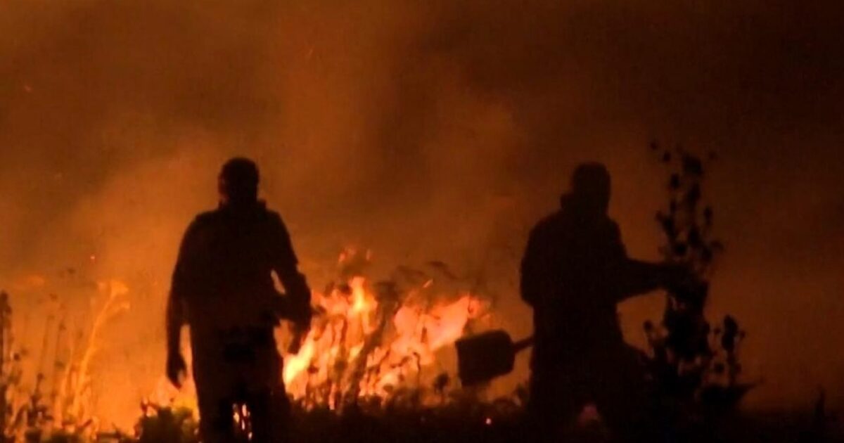 Canicule - Canicule dans le Sud de l'Europe : de nombreux incendies de forêt se déclarent