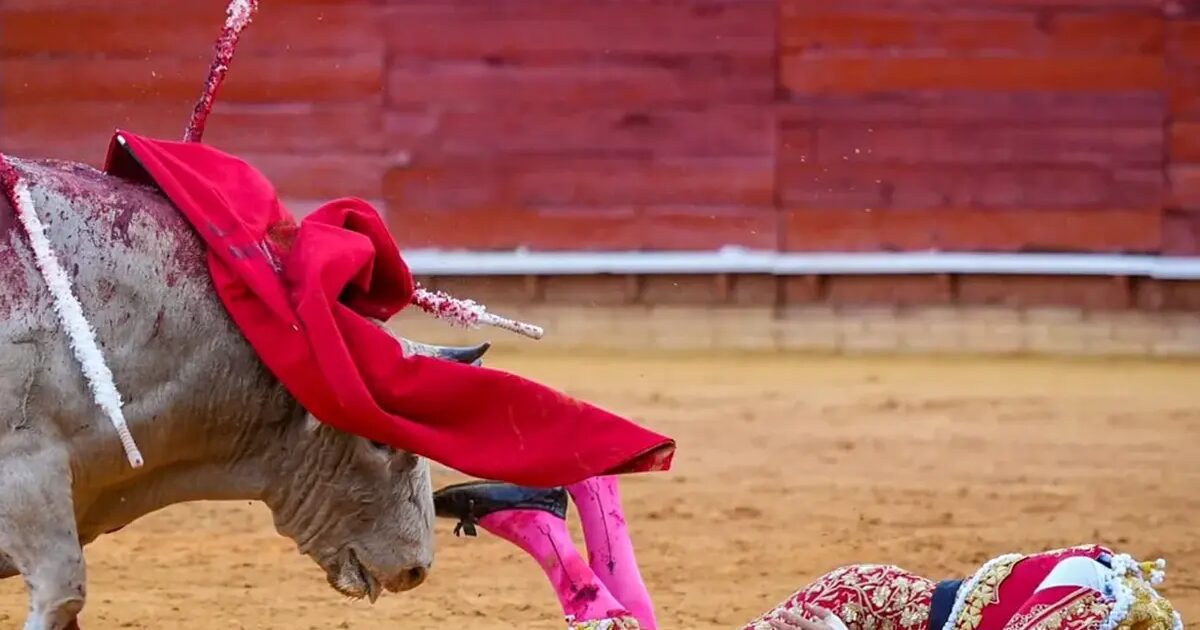 Roca - Roca Rey, blessé à Huelva : "tumefacción avec hématome ; nécessite un examen radiologique"