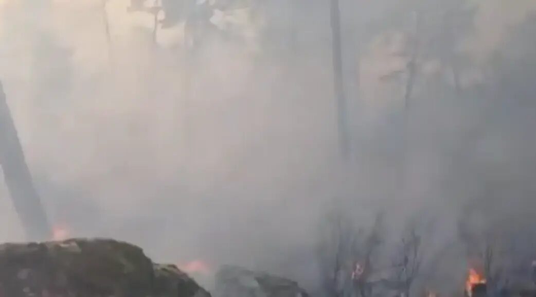 Trains - Au Moins 6 Trains Impactés par l'Interruption du Trafic en Raison d'un Incendie à San Bartolomé de Pinares (Ávila)