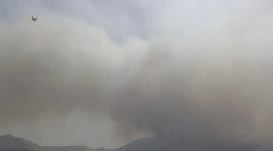 Incendies - Les Ganaderías de Toro Bravo Touchées par les Incendies : 80 % de la Finca Extremeña de Jandilla Ravagée par le Feu